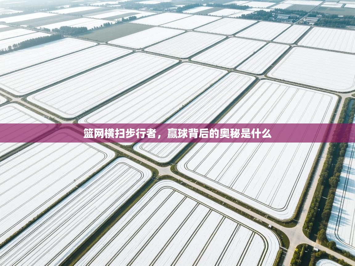 篮网横扫步行者,赢球背后的奥秘是什么 第2张