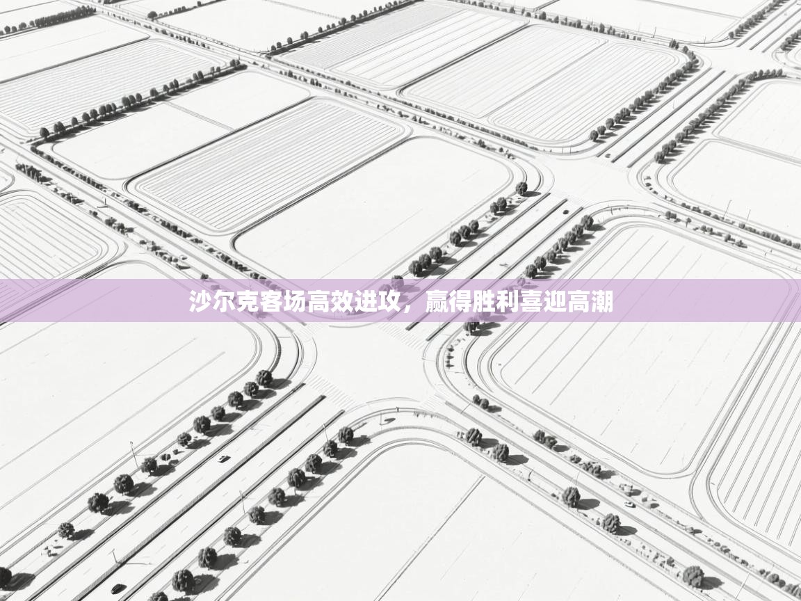 沙尔克客场高效进攻，赢得胜利喜迎高潮